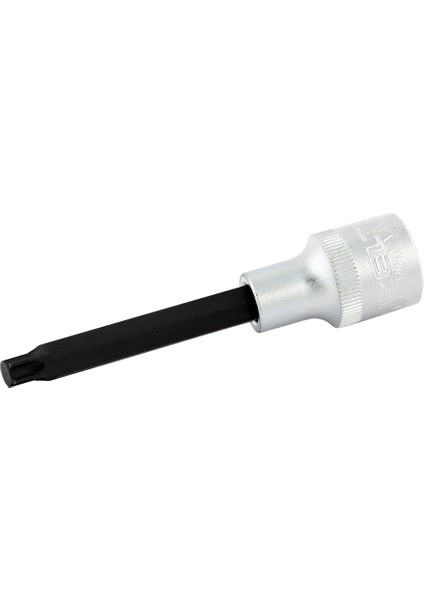 1113 06 4250 T 50 Uzun Star (Torx) Uçlu Lokma ( 100 mm )