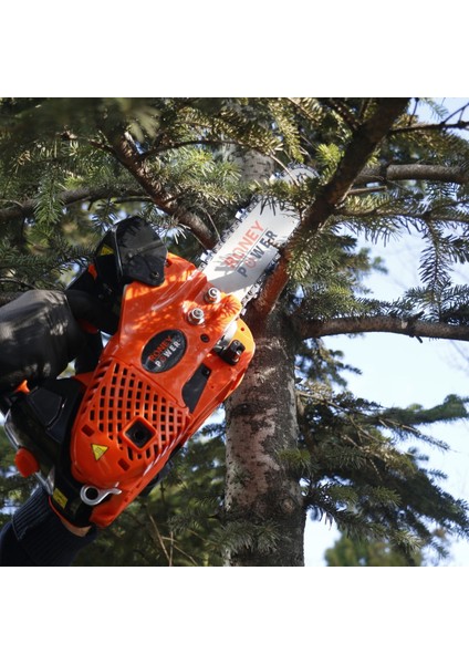 Benzinli Ağaç Kesme Motoru 25.4cc - CS 2501