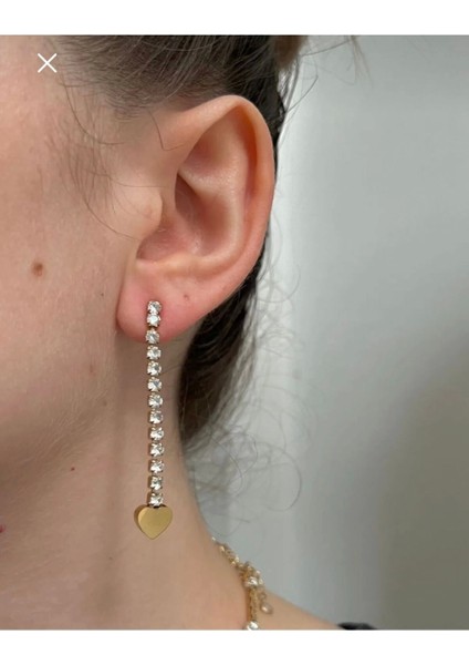 Çelik Su Yolu Kalp Küpe fiyatları