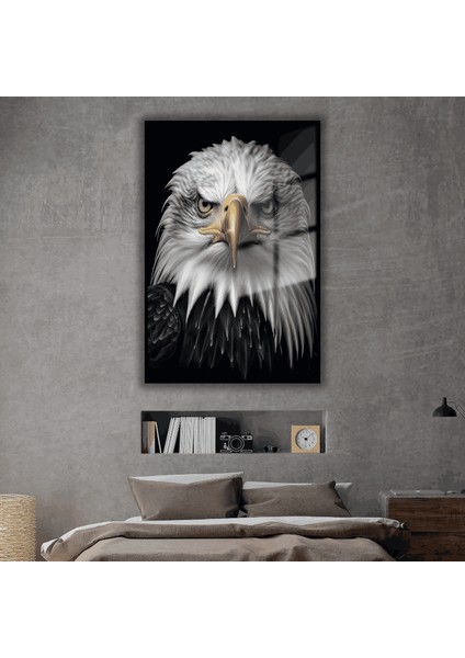 Metal Çerçeveli Temperli Cam Tablo Karşıdan Kartal Portesi