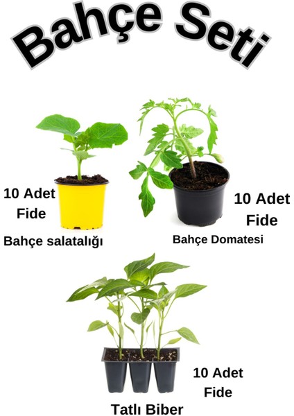 Bahçe Seti 10 Adet Salatalık+ 10 Adet Domates+10 Adet Biber