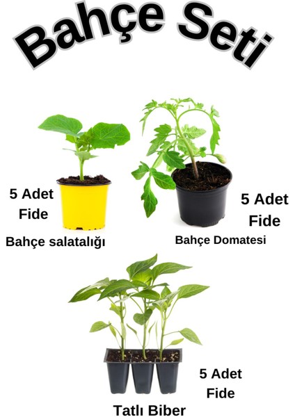 Bahçe Seti 5 Adet Salatalık+ 5 Adet Domates+5 Adet Biber
