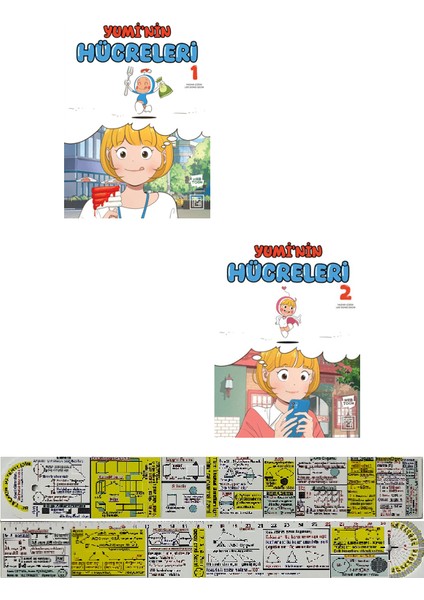 Çizgi Roman Seti / Yuminin Hücreleri 1. 2. Ciltler (Matematik Öğreten Cetvel) - Lee Dong Geon