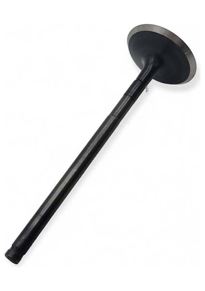 Bajaj Dominar D250 2020-2025 1 Adet Subap Emme Subabı A