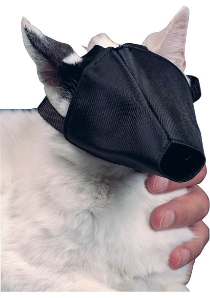 Buster Kedi Ağızlığı