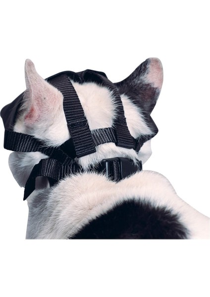 Buster Kedi Ağızlığı fiyatları