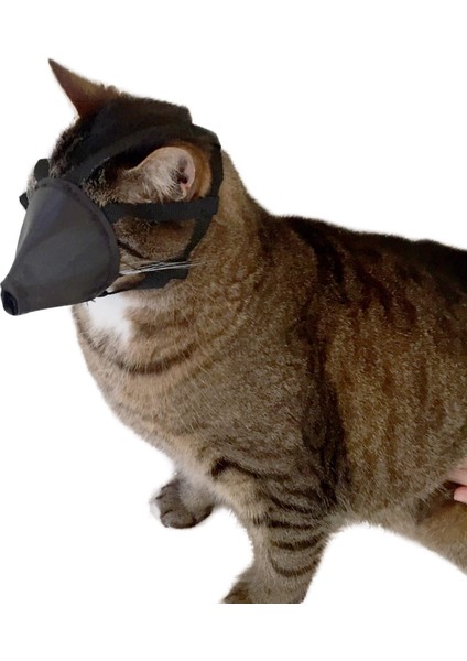 Buster Kedi Ağızlığı modelleri