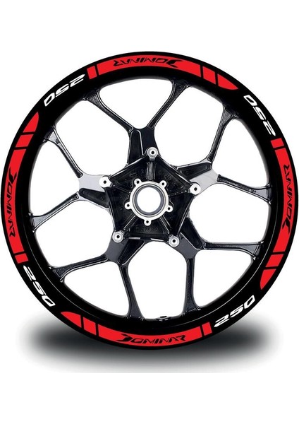 Bajaj Dominar 250 Dış Jant Şeridi Motosiklet Sticker Etiket Modeli