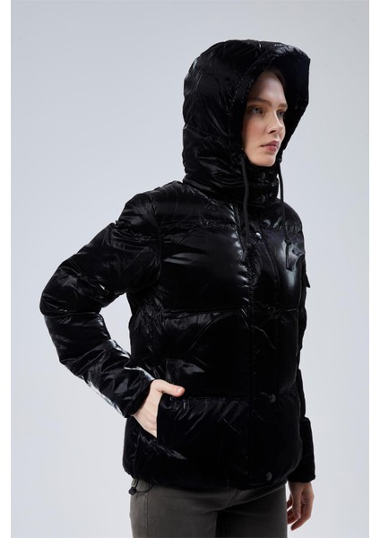 Puffer Mont
