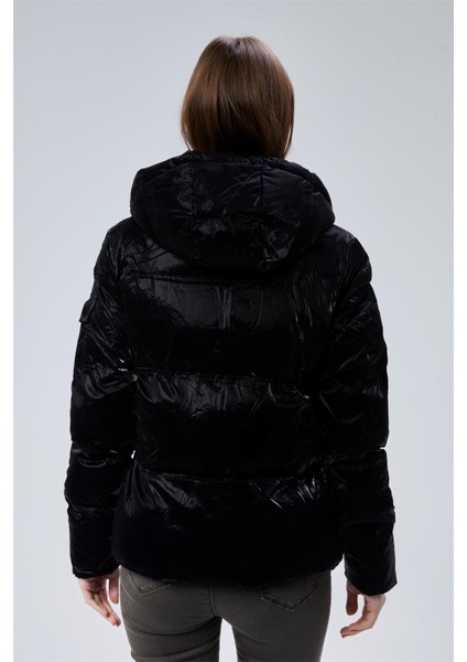 Puffer Mont