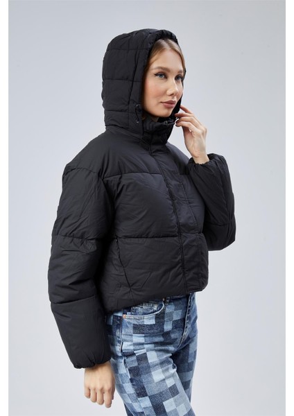 Puffer Mont