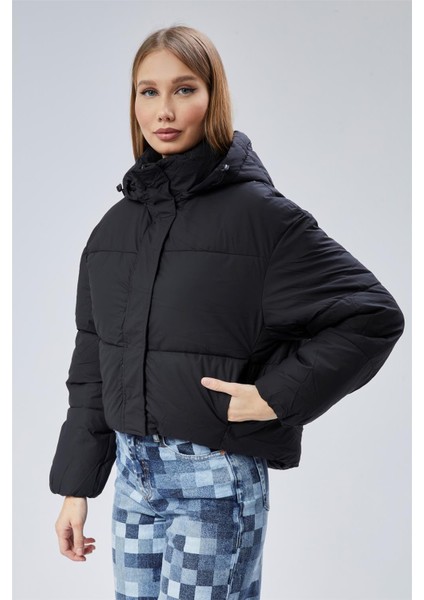 Puffer Mont