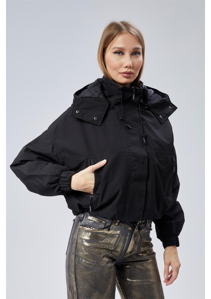 Kapşonlu Mont fiyatları