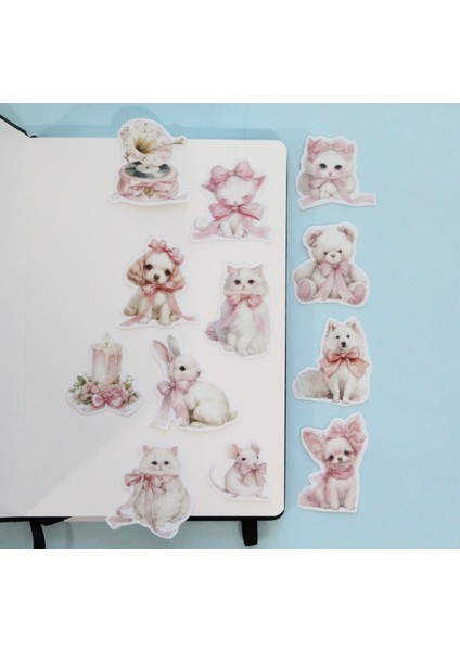 Fiyonk Sticker Seti
