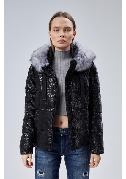 Puffer Mont