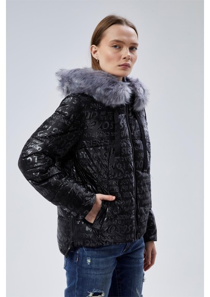 Puffer Mont