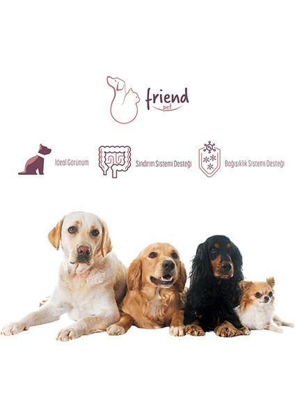 Friend Pet Premium Gold Yetişkin Köpek Maması Kuzulu 12 Kilo %100 Yeme Garantili