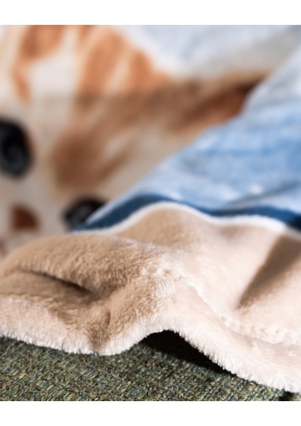 Fleurines Welfsoft Polar Baskılı Tv Battaniye - Gri indirimleri