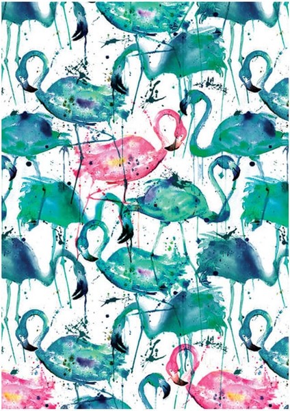 Paradise Flamingos Sert Kapak 64418-6