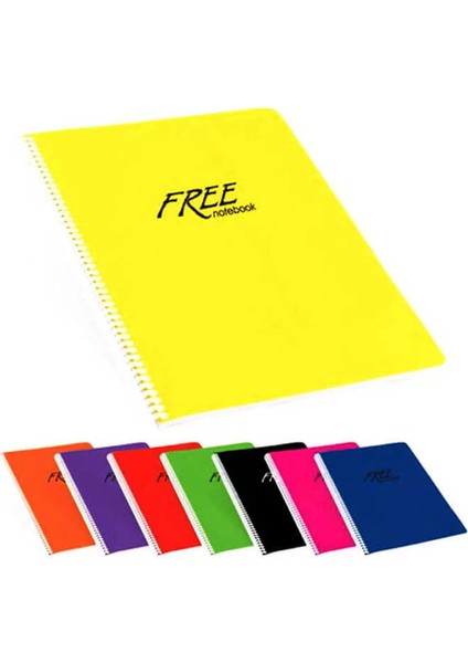 Color Free Plastik Kapak Kareli Defter A5 100 Yaprak