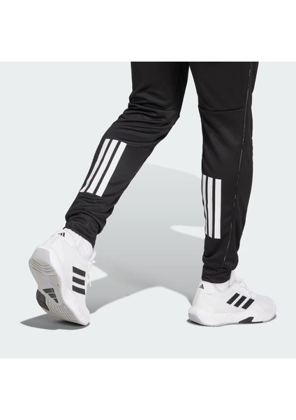 Erkek Günlük Tek Alt Camo Pant JE5698