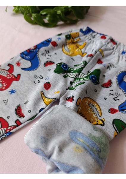 Minilkabebe Dinazor Desen Erkek Çocuk Pijama Takımı Içi Polarlı