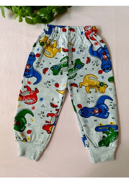Minilkabebe Dinazor Desen Erkek Çocuk Pijama Takımı Içi Polarlı