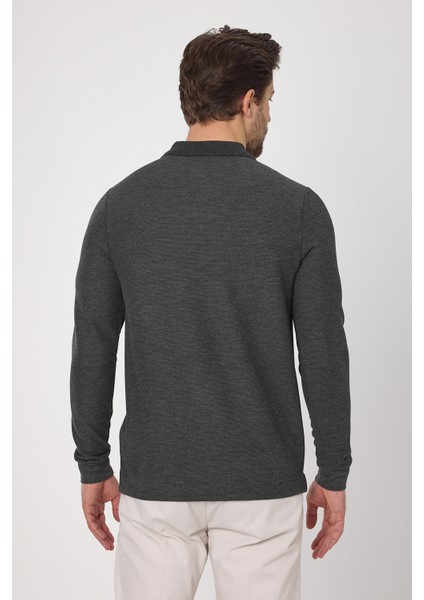 Lewin Erkek Antrasit %100 Pamuk Waffle Çekmeyen Esneyen Kumaş Slim Fit Uzun Kol Polo Tişört