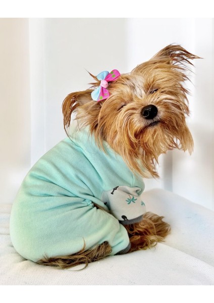 Minty Palm Kalın Penye Köpek Tulum Pijama