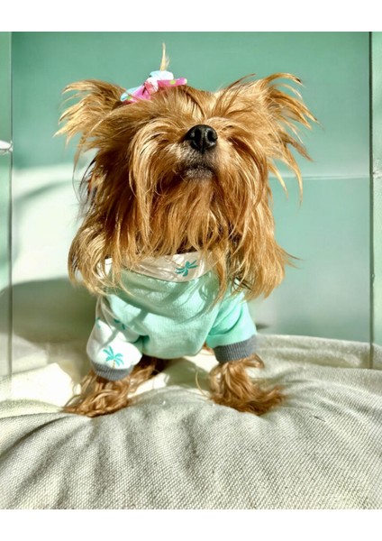 Minty Palm Kalın Penye Köpek Tulum Pijama indirimleri