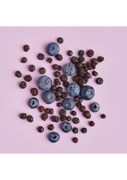 Freeze Dried Çıtır Yaban Mersini Cipsi 20 gr Şeker İlavesiz modelleri