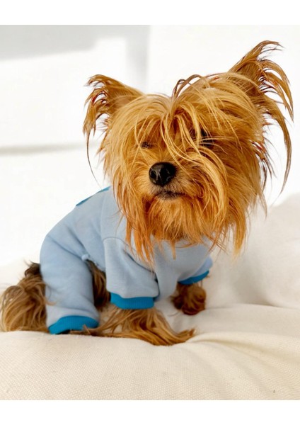 Blue Bunny Kalın Penye Köpek Tulum Pijama fiyatları