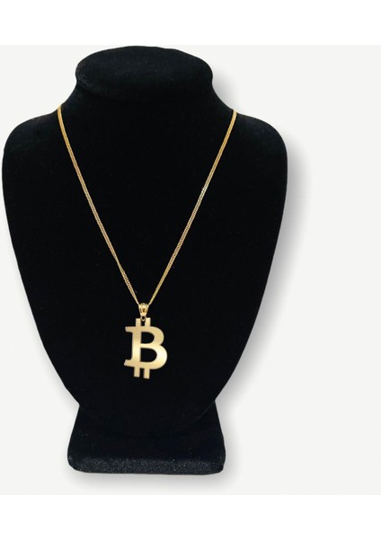 14 Ayar Altın Kolye Ucu bitcoin GM187 1 gr