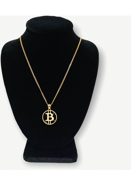 14 Ayar Altın Kolye Ucu bitcoin GM190 1 gr