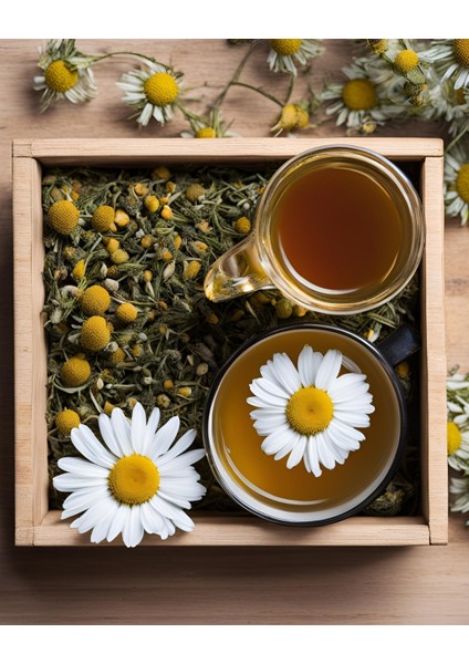 Doğal Kurutulmuş Papatya fiyatları