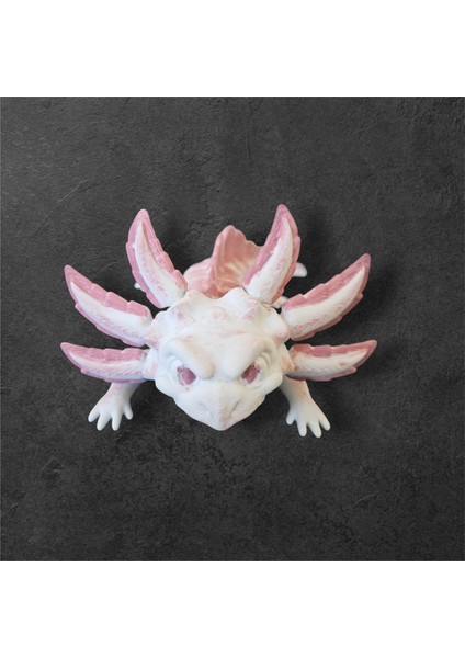 3D Axolot Beyaz (Aksolot)