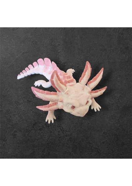 3D Axolot Beyaz (Aksolot)