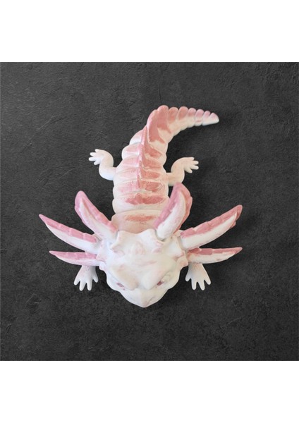 3D Axolot Beyaz (Aksolot)