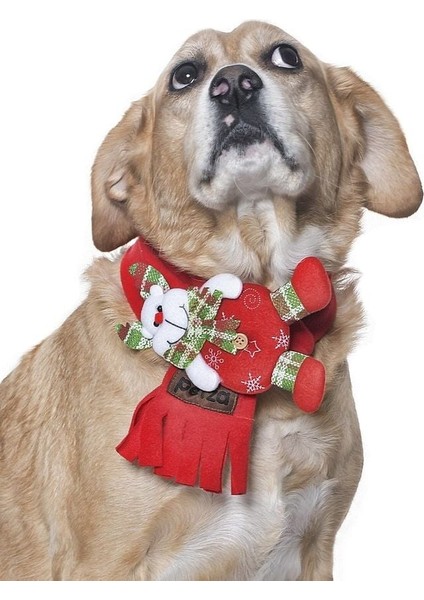 Polar Köpek Atkısı - Yoruba