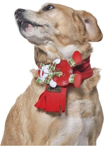 Polar Köpek Atkısı - Yoruba modelleri