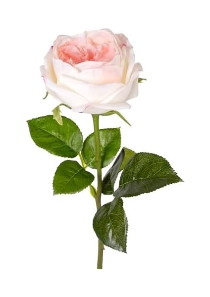 Yapay Çiçek Islak Dokulu Gül Beyaz-Pembe 48 Cm.