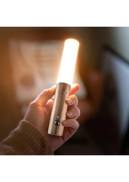 CT-5250 Kumru Şarjlı LED Duvar Aplik Günışığı