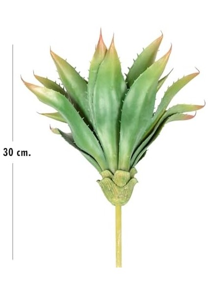 Yapay Kaktüs Sukulent Yeşil 30 cm