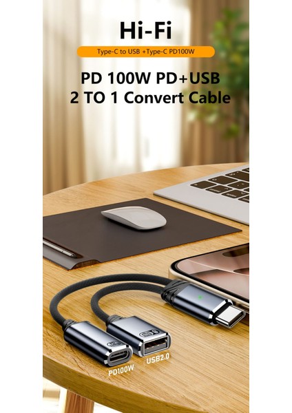 100W 2 In 1 Type C To USB 2.0 & Type C Hızlı Şarj Çevirici Dönüştürücü Otgca