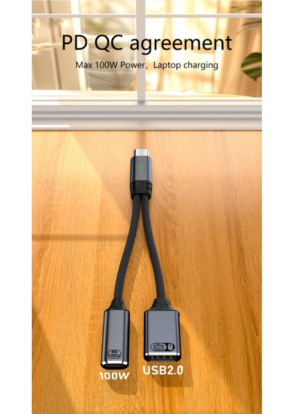 100W 2 In 1 Type C To USB 2.0 & Type C Hızlı Şarj Çevirici Dönüştürücü Otgca