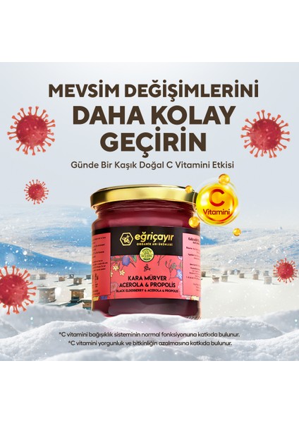 Kara Mürver + Acerola + Propolis + Ham Bal 2 x 225G