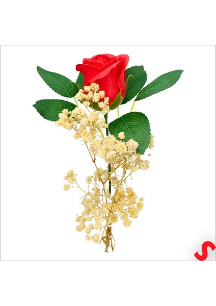 Pvc Kutulu Cipsolu Yapay Kırmızı Gül - 25CM x 7cm