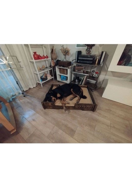 Köpek Yatağı 70*100 cm Bilboa Rahat ve Yıkanabilir Minder Yatak Dahil