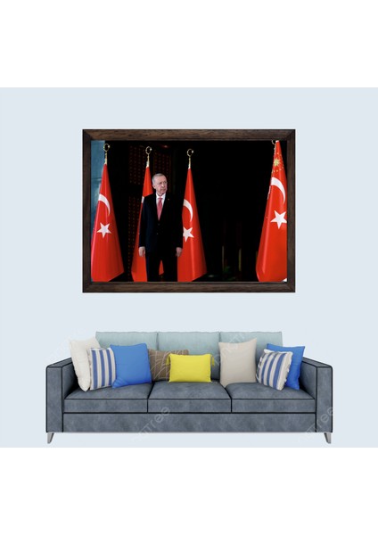 Cumhurbaşkanımız Recep Tayyip Erdoğan, Çerçeveli Cam Duvar Tablosu 30 x 45 cm SP14