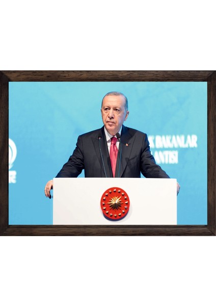 Cumhurbaşkanımız Recep Tayyip Erdoğan, Çerçeveli Cam Duvar Tablosu 30 x 45 cm Sp9